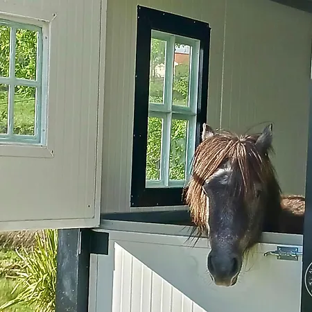 Casa 1 Do Pavilhao Da Prelada * Celorico De Basto