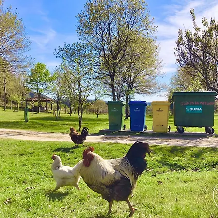 别墅 Casa 1 Do Pavilhao Da Prelada 塞洛里库迪巴什图