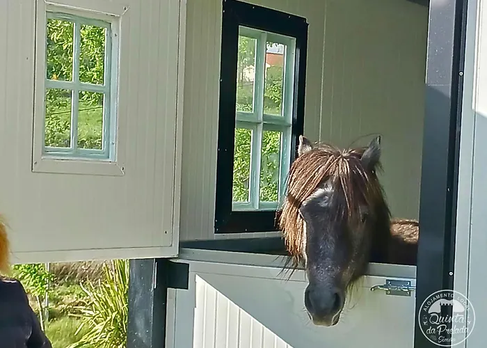 Casa 1 Do Pavilhao Da Prelada * Celorico De Basto