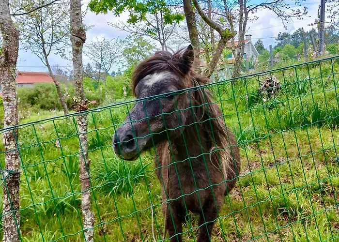 Villa Casa 1 Do Pavilhao Da Prelada