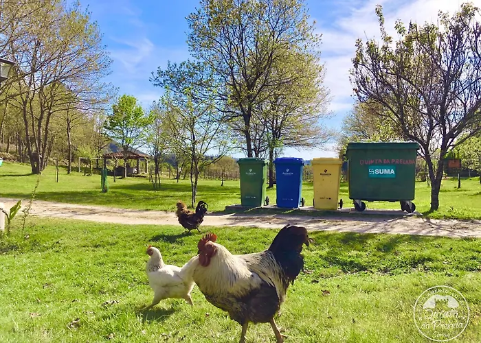 Villa Casa 1 Do Pavilhao Da Prelada Celorico De Basto